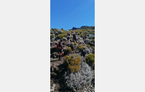 Descente du piton des Neiges 
