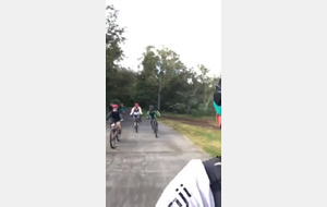 Vid 2