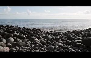 Ramassage des Dhets by Deniv'