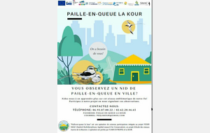 Paille-en-queue la kour